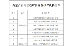 內(nèi)蒙古自治區(qū)財政廳 地方金融監(jiān)督管理局關(guān)于公布內(nèi)蒙古自治區(qū)政府性融資擔(dān)保機構(gòu)名單的通知